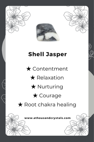 Shell Jasper